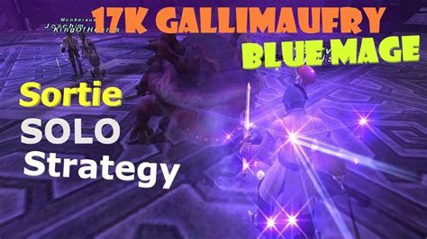 ffxi carousing celine solo strategy for blue mage|ffxi carousing celine aura.